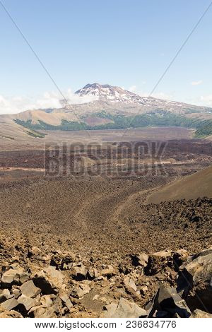 Tolhuaca Volcano, In Malalcahuello And Nalcas National Park, Chile