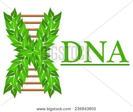 Logo In The Form Of Dna, For Business Cards.