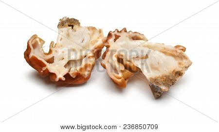 The False Morel Mushroom, Gyromitra Gigas Known As Snow Morel, Calf Brain Or Bull Nose