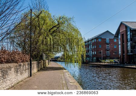 A Green Willow Tree Hangs Over The Leeds Liverpool Canal As It Runs Through Wigan