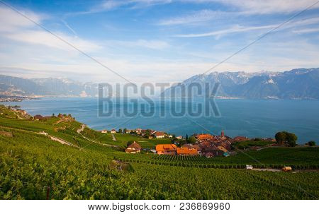 Vineyards Of The Lavaux Region Over Lake Leman (lake Of Geneva),switzerland