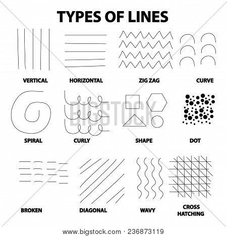 Type Of Lines In Art. Vector Illustration.