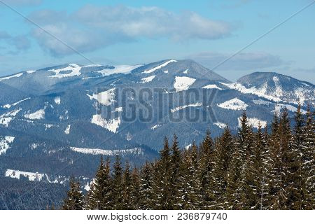 Picturesque Winter Sunny Day Carpathian Mountain View From Skupova Mountain Slope, Ukraine. View To 