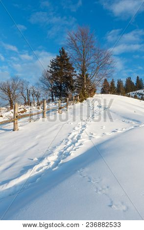 Winter Morning Scenery Picturesque Mountain Rural Snow Covered Path And Footprint (ukraine, Carpathi