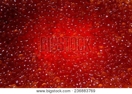 Red Caviar Salmon In A Jar On A White Background