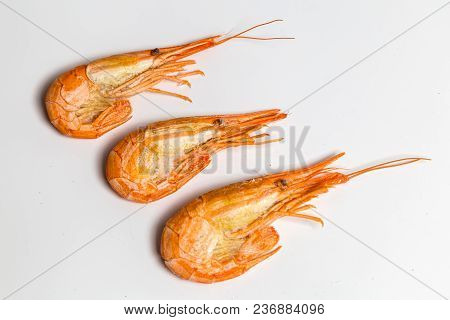 Shrimp Langoustine Lie On A White Background