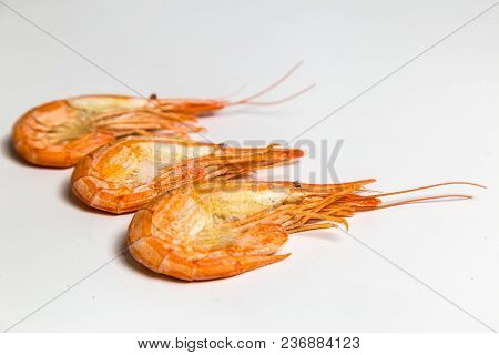 Shrimp Langoustine Lie On A White Background