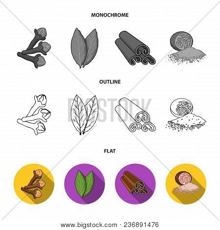 Ginger, Rosemary, Vanilla, Mint.herbs And Spices Set Collection Icons In Flat, Outline, Monochrome S
