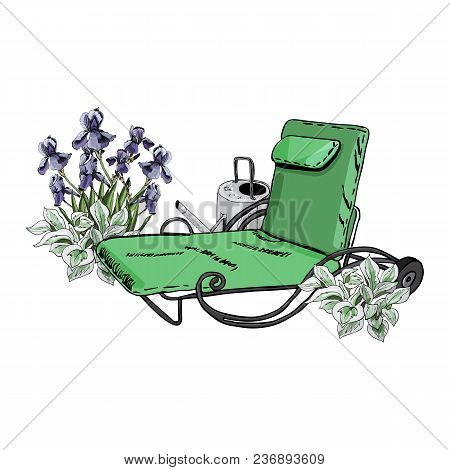 Decorative Composition With Green Lounger, Watering Can, Iris And Hosta Flowers. Hand Drawn  Sketch 