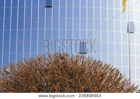 Building For Negotiations Made Of Glass, Business, New Technology