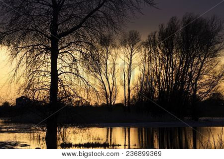 Mystical Sunset In Spring Flood Waters, Spring And Plants