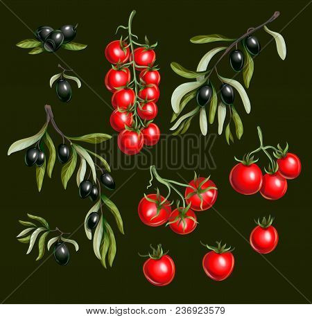 Black  Olives Branches And Cherry Tomato Isolated,