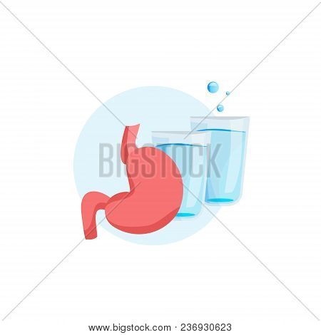 Stomach And 2 Glasses Of Water. Drinking Water From Bottle Flow Into Stomach.