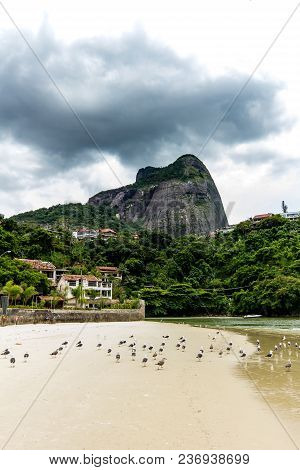 Seagulls Flying Underneath Bridge In The Point Where The Sea Meets The Marapendi Lagoon, In Barra Da