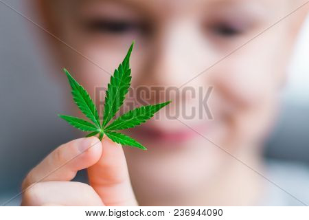 Smiling Kid Child Holding A Hemp Leaf. Concepts Of Using Marihuna For Medicinal Purposes For Childre