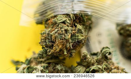Chemical Elements In Marijuana Buds Cbd Thca Cbn