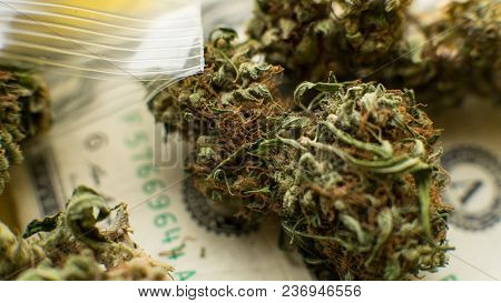 Chemical Elements In Marijuana Buds Cbd Thca Cbn