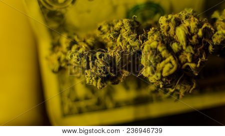 Chemical Elements In Marijuana Buds Cbd Thca Cbn