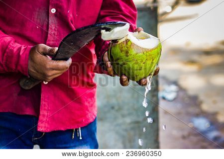 Seller Cutting A Raw Coconut Shell With Sickle To Take Out Coconut Water. Coconut Water Pouring Out 