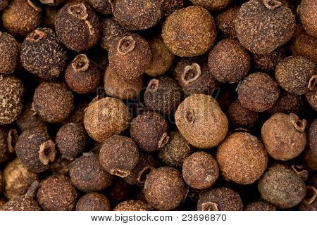 Tüm yenibahar (pimenta Dioica)