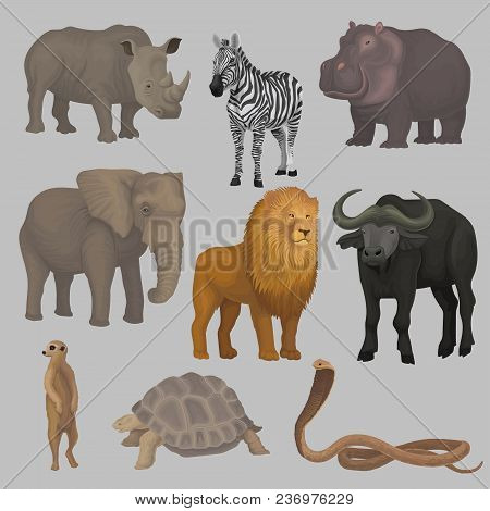 Wild African Animals Set, Hippopotamus, Elephant, Giraffe, Rhinoceros, Turtle, Buffalo, Zebra Lion S