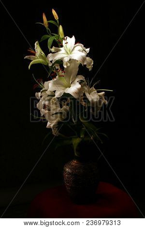 Flower Of A White Lily On A Black Background Vase