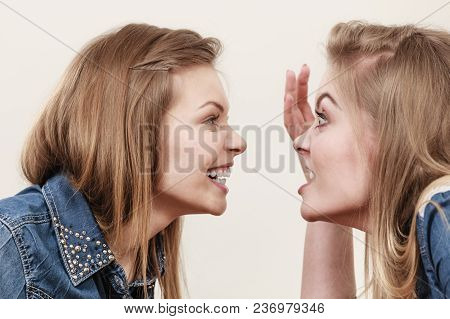 Two Women Having Argue Mocking Up Being Mad At Each Other. Female Telling Off, Ignorance Coversation