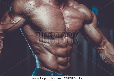 Handsome Model Muscle Man Abs Workout In Gym