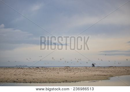 Flock On Birds In Mid Flight With A Couple Walking On Paarden Eiland Beach At Sunrise.