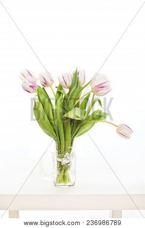 Spring Flowers On A White Background In The Studio. Tulips