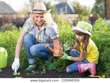 Beautiful Woman And Her Chid Daughter Planting Seedlings In Bed In Domestic Garden At Summer Day. Ga