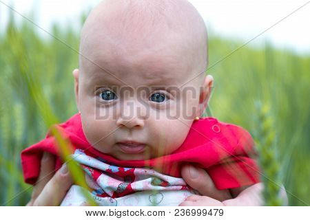 Portrait Of A Baby Girl In Nature