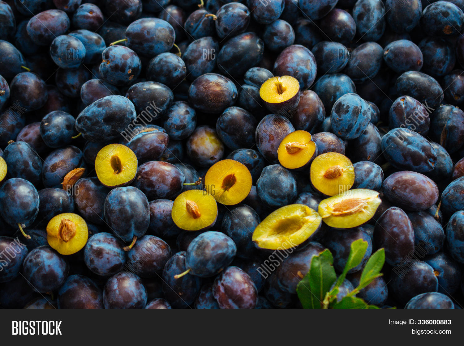 Ripe Blue Plum Fruits Image & Photo (Free Trial) Bigstock