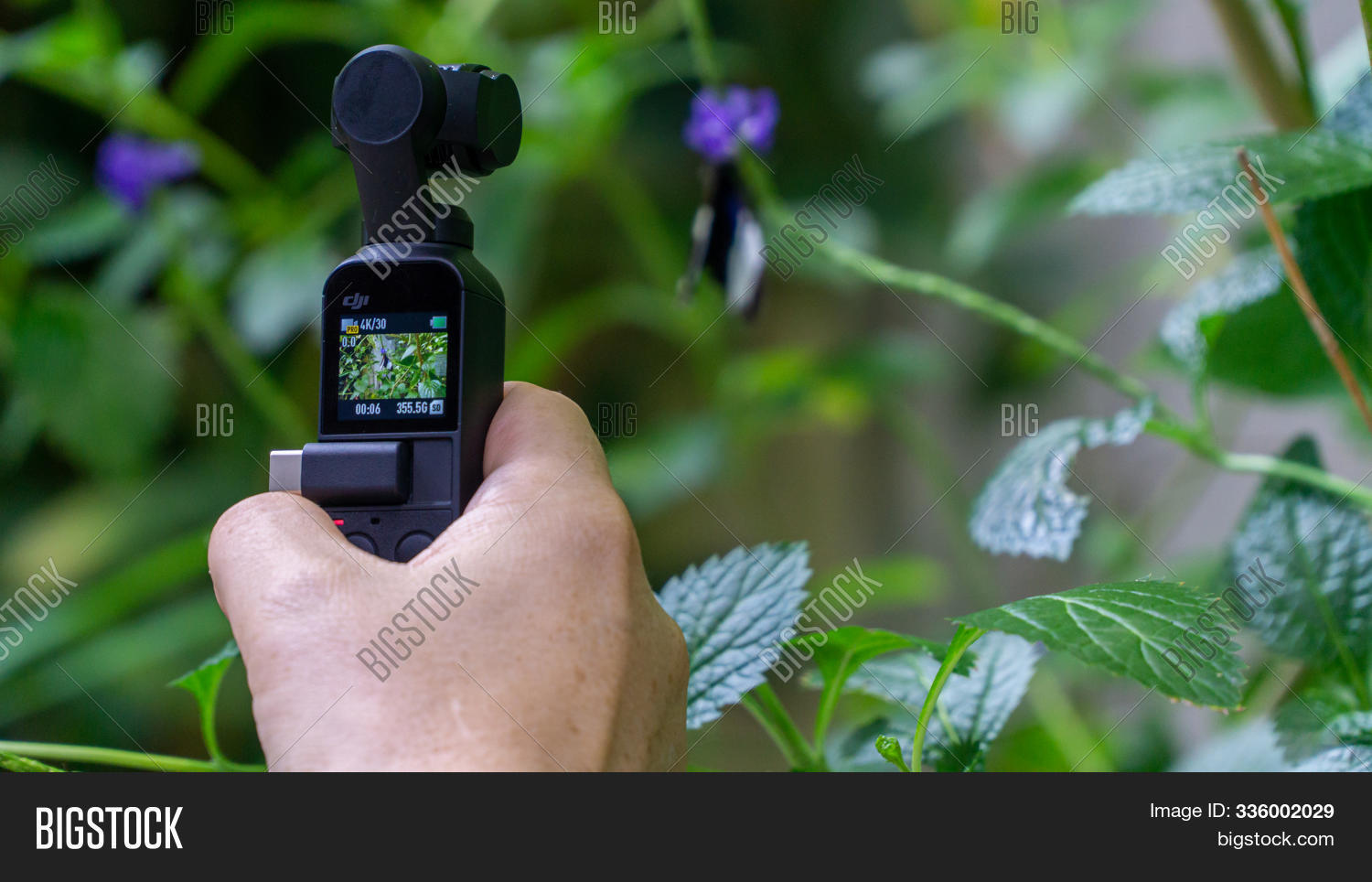 dji osmo pocket usa