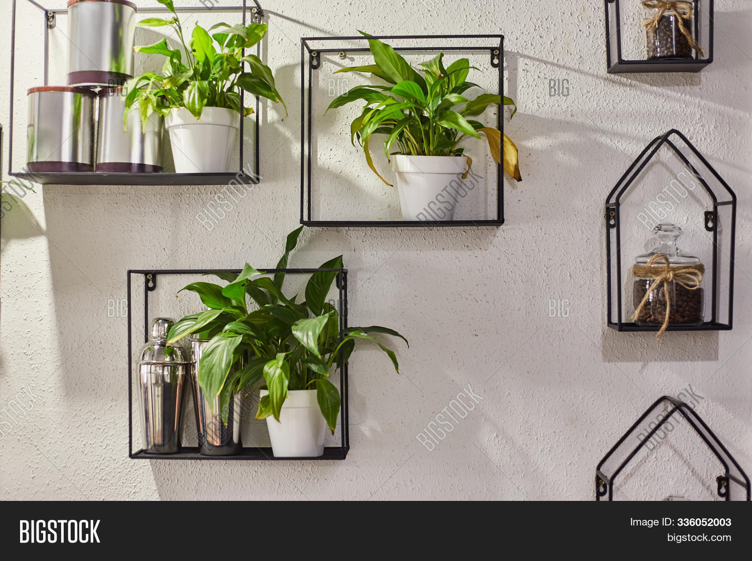 Ornamental Plants Pots Image Photo Free Trial Bigstock