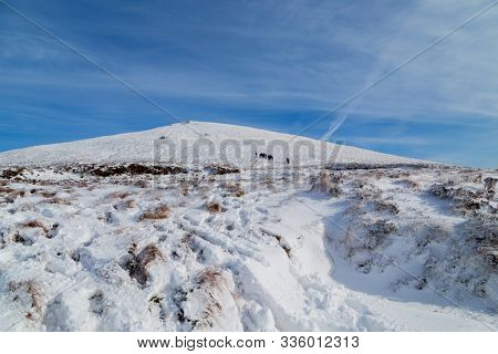 Snow in the the Paps of Anu, Co Kerry, Ireland