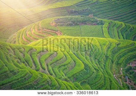 View Of Seven Stars Accompany The Moon Cascading Layered Rice Terraces Forming Part Of Longji Rice T