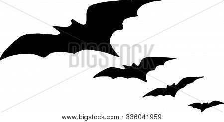 Bat Icon On White Background  Vector, Wildlife, Wing
