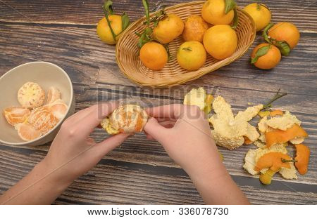 The Girls Hands Are Cleaning Tangerine, Tangerines On A Twig With Green Leaves, Peeled Tangerines In
