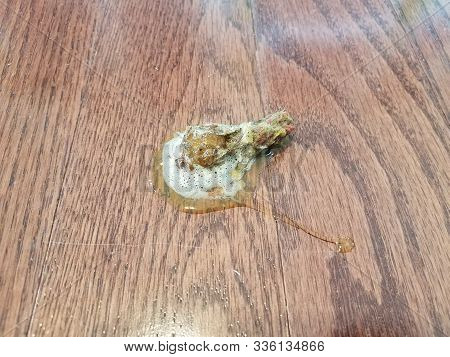 Dog Vomit With Stomach Acid And Hair On Wood Floor