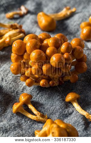 Raw Organic Japanese Nameko Mushrooms