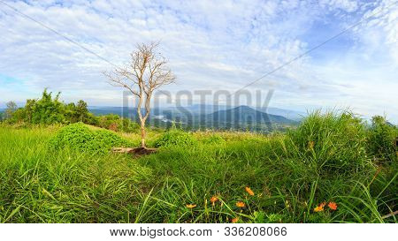 Abstract The Viewpoint At The Mountain In The Phu Pa Por Fuji At Loei, Loei Province,