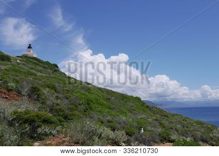 Holidays On The Island Of Beauty, In Southern Corsica.