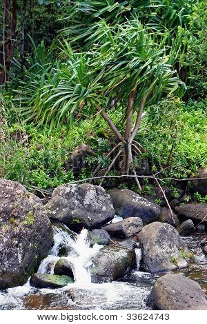 Cascata