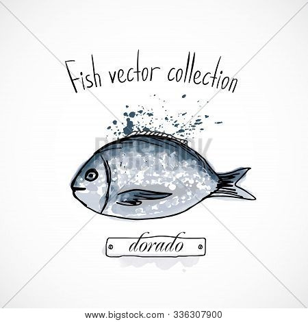 Hand Drawn Set Watercolor Ink, Menu Restaurant, Sketch Cartoon Print Vector Illustration, Sea Food