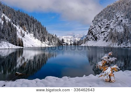 Fresh Snow On Mountains And Trees By Alpine Lake On A Sunny Winter Day With Golden Larch Tree Covere