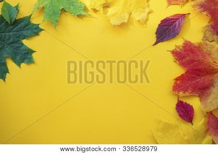 Autumn Colorful Leaves On A Yellow Background, Space For Text