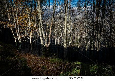 Trekking From Pontito To Penna Di Lucchio, Lucca - Tuscany
