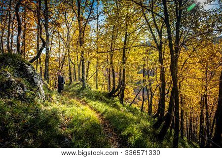Path That Goes Around The Penna Di Luccio West Side With Black Hornbeam Forest In Autumn Colors Walk