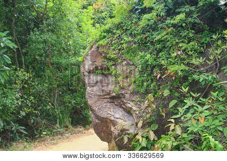 The Natre View Of Tai Lam Chung Hk